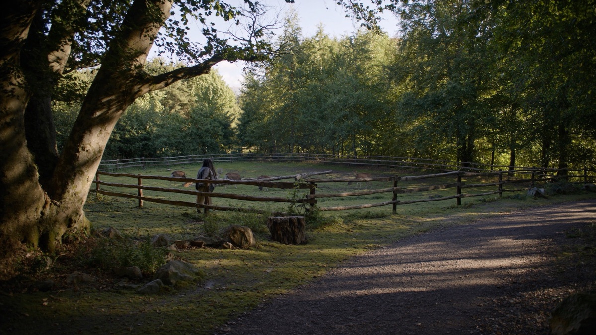 Wild- und Tierpark (Beispielbild)